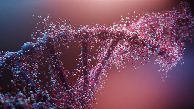 Biological Sciences